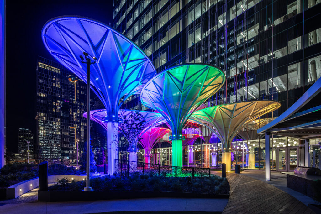 Nashville Amazon Tower 1 Anne Tulips at Night