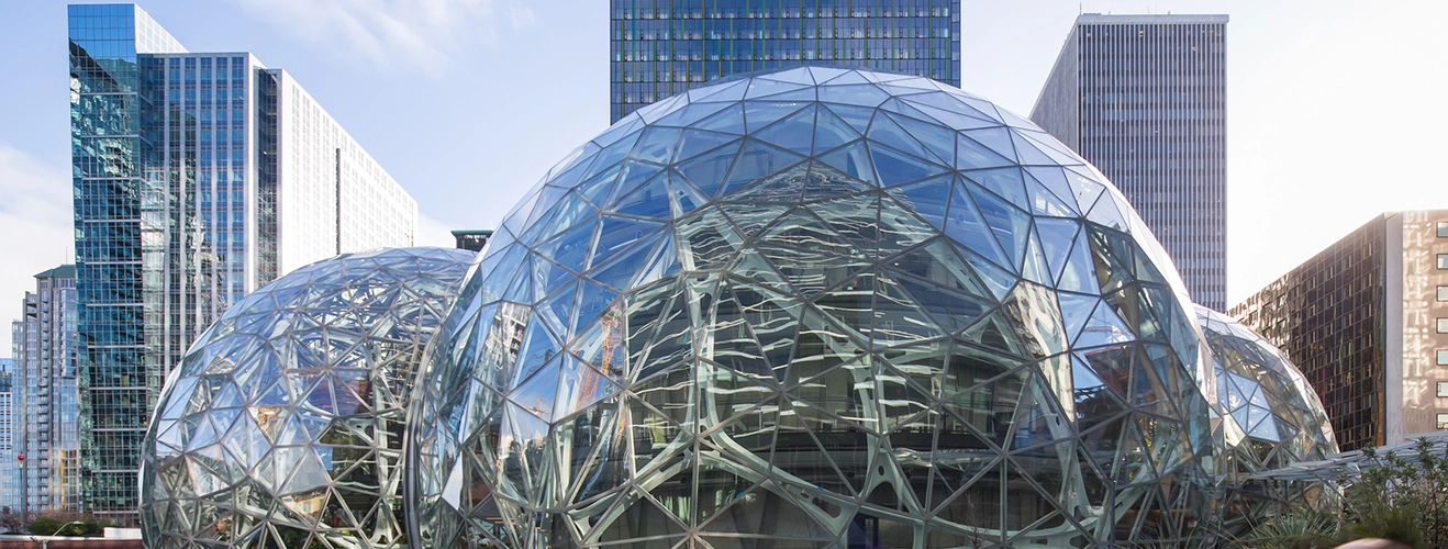 Amazon Spheres in the Regrade