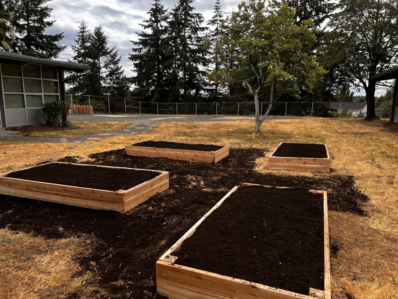 Seattle Day of Giving at Rainier Elementary - raised beds complete